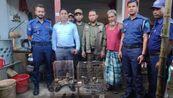 মাধবপুরে ২০ টি দেশীয় বন্যপাখি উদ্ধার