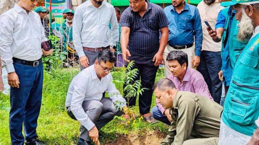 চুনারুঘাটে ৩ দিনব্যাপী বৃক্ষ মেলার উদ্বোধন