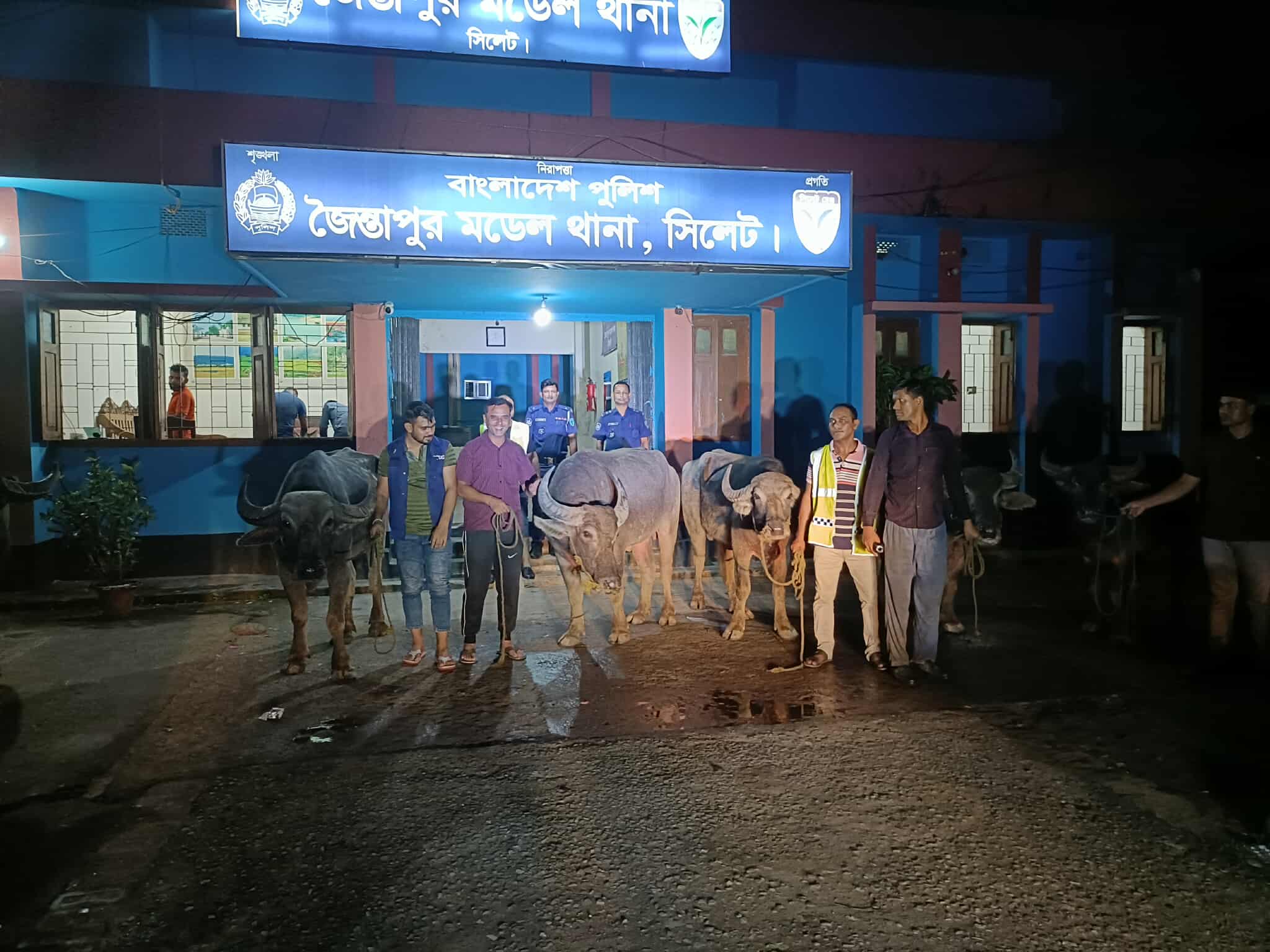 জৈন্তাপুরে মহিষ জব্দ: মামলা নিয়ে ভিন্নমত তদন্তে গুরুত্ব দিচ্ছে থানা প্রশাসন