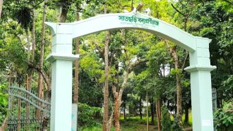 সাতছড়ি সড়কের সুরমা চা বাগানে গাছ ফেলে ডাকাতি