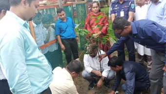 মধ্যনগর উপজেলায় জুলাই বর্ষপূর্তি পালন