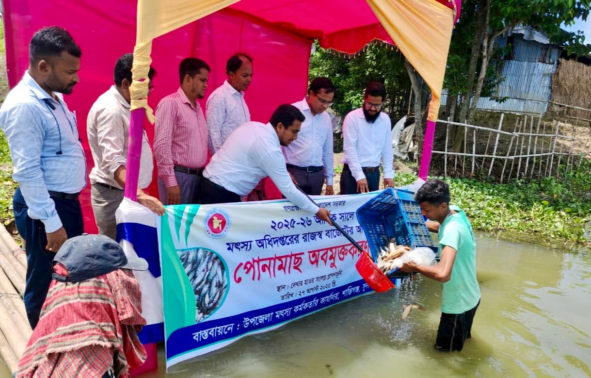 শান্তিগঞ্জে মাছের উৎপাদন বৃদ্ধিতে পোনামাছ অবমুক্ত