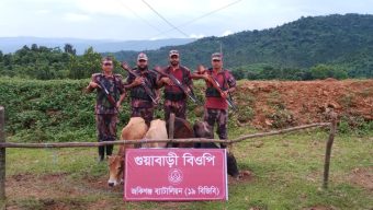 জৈন্তাপুর সীমান্তে ১৯ বিজিবি’র অভিযানে ৪টি ভারতীয় বাছুর গরু আটক