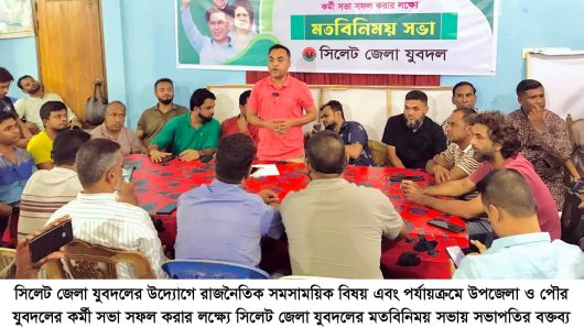 সারা দেশজুড়ে যুবদলকে আরো সুসংগঠিত  করতে হবে: এডভোকেট মোমিন