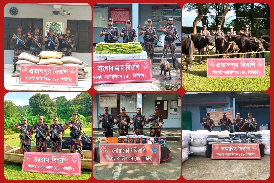 সিলেট সীমান্তে বিজিবি ধরলো ২ কোটি ৩৮ লাখ টাকার ভারতীয় চোরাই পণ্য