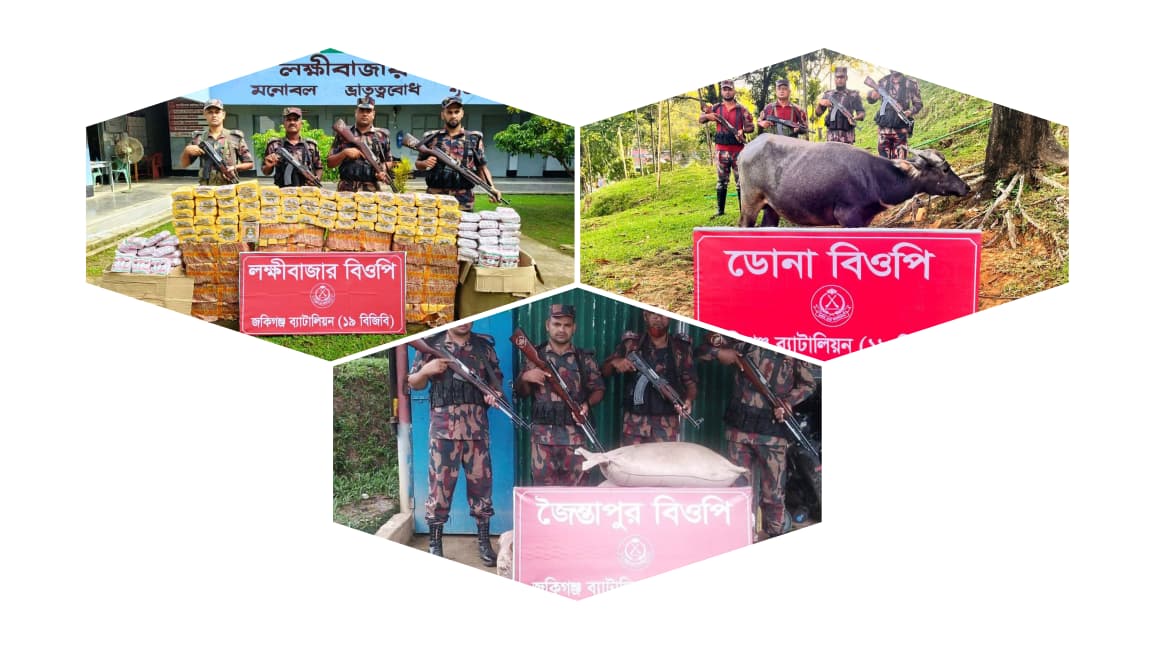 সিলেট সীমান্তে মহিষ ও বিড়িসহ ৫ লক্ষ টাকার ভারতীয় চোরাই পন্য  জব্দ