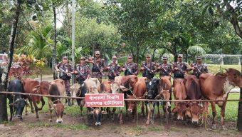 দোয়ারাবাজার সীমান্তে বিজিবির অভিযানে ১৪টি ভারতীয় গরু জব্দ 