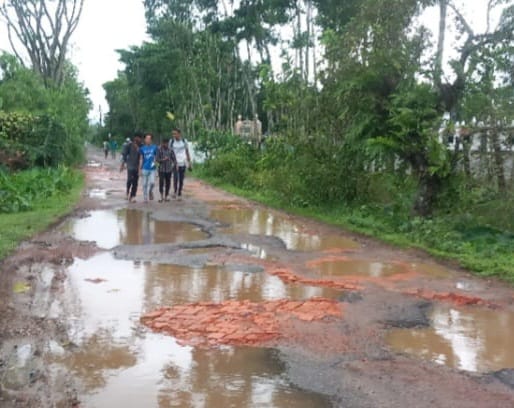 ওসমানীনগরে মহাসড়ক হতে সংযোগ গ্রামীণ পাকা সড়কের বেহাল দশা 