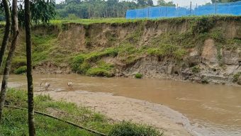 গোয়াইনঘাটে কিনাই ছড়া থেকে অবৈধ বালু উত্তোলন: বসতবাড়ি, জমি ও মসজিদ ঝুঁকিতে