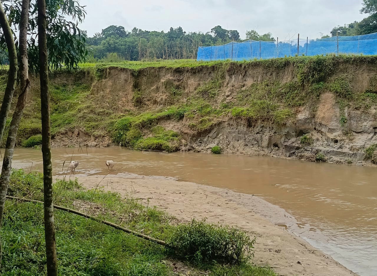 গোয়াইনঘাটে কিনাই ছড়া থেকে অবৈধ বালু উত্তোলন: বসতবাড়ি, জমি ও মসজিদ ঝুঁকিতে